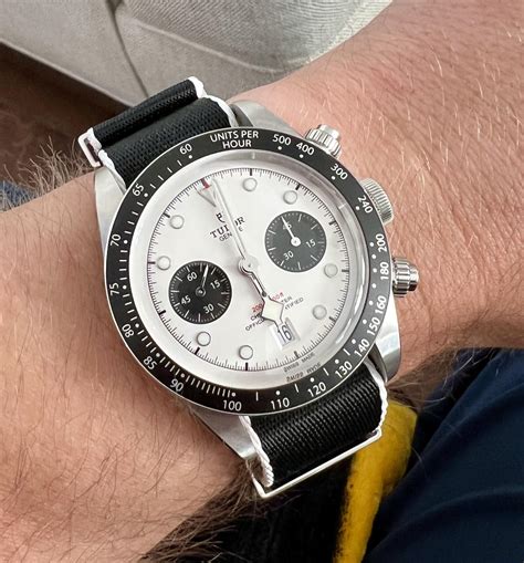 tudor panda chrono